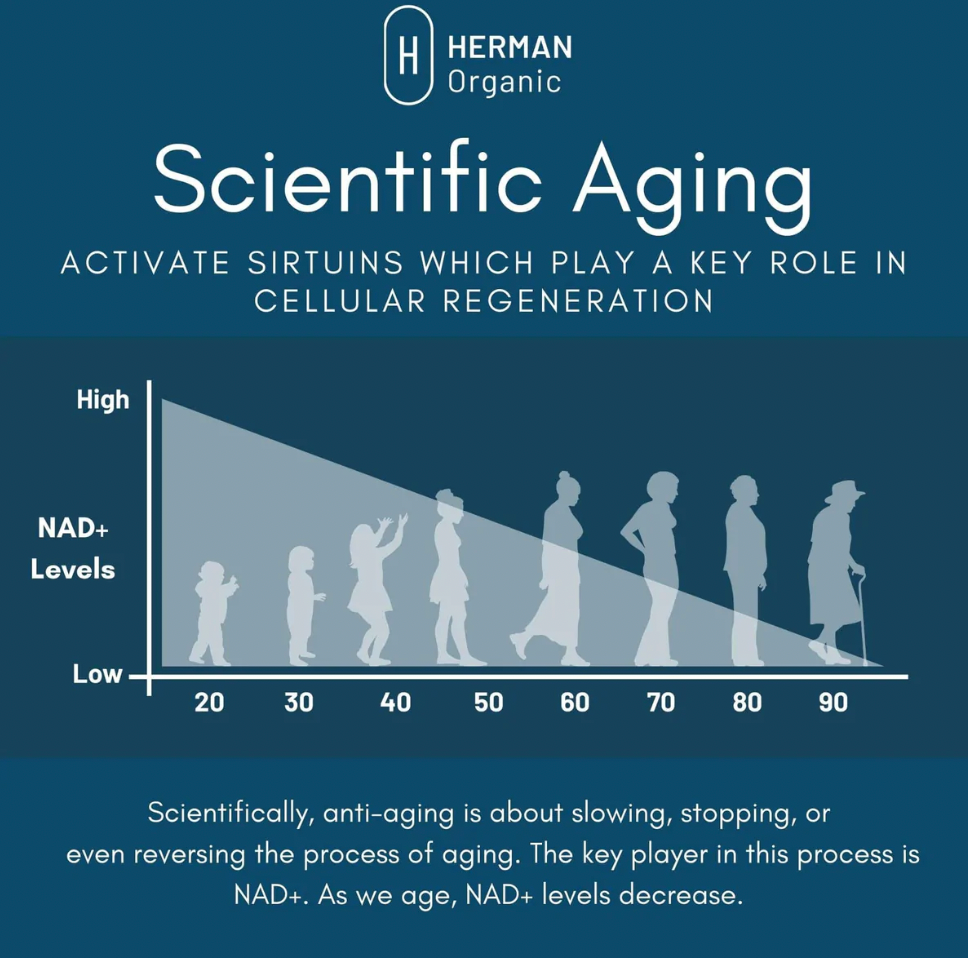 How Does NMN & NAD+ Influence the Aging Process?