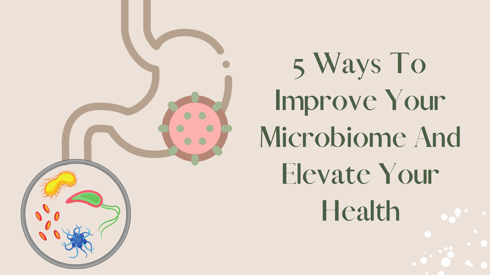 Microbi...What? 5 Ways To Improve Your Microbiome And Elevate Your Health